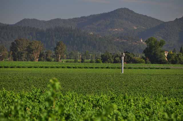 Napa Valley